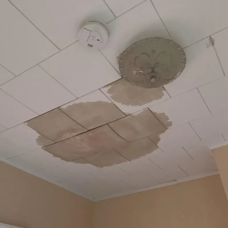Ceiling Water Damage Repair in Cottage Lake, WA