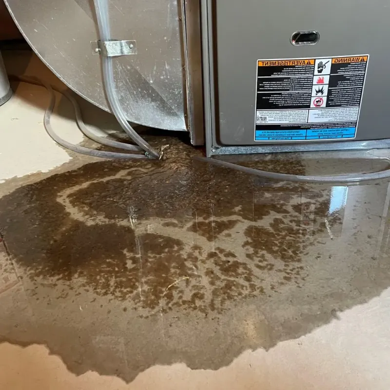 Pipe Burst and Leak Restoration in Cottage Lake, WA